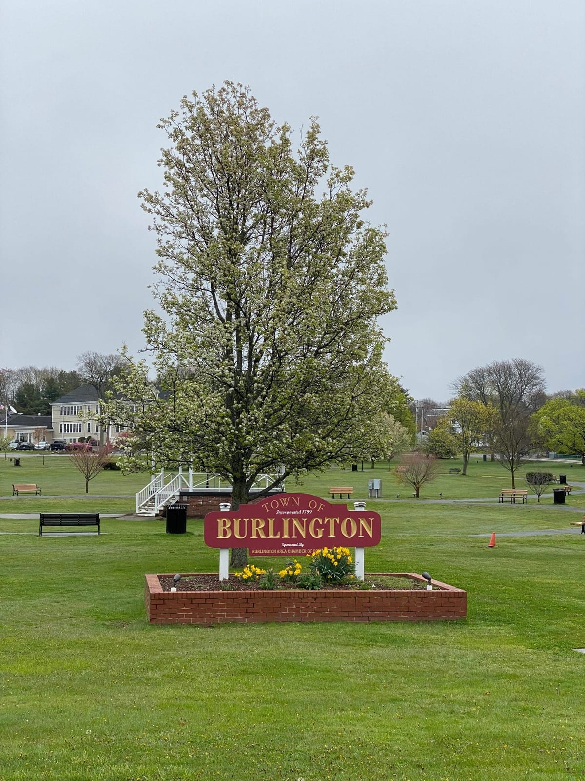 Daily Buzz | Will Burlington Fill Town Meeting Seats in Precincts 6 and 7?