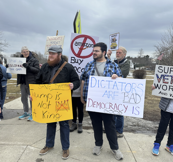 Demonstrators holding signs, including ones that say "Trump is not a king" and "Dictators are Bad Democracy is Good."