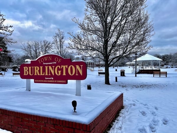 Weekly Buzz | Learning and Input Opportunities This Week in Burlington