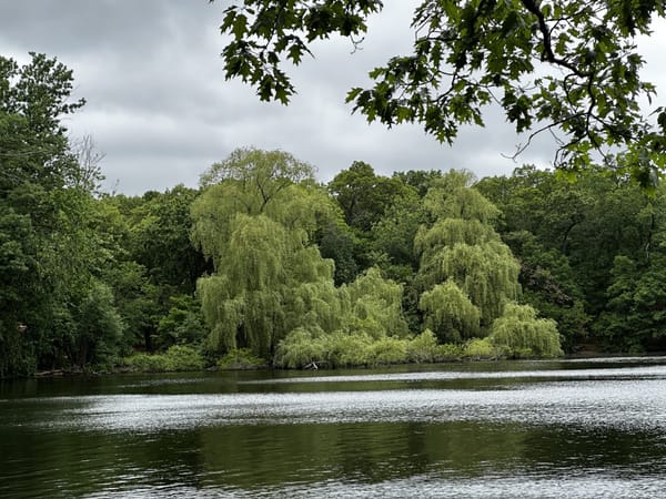 Daily Buzz | Conserve Water as Mill Pond PFAS Filters Undergo Work