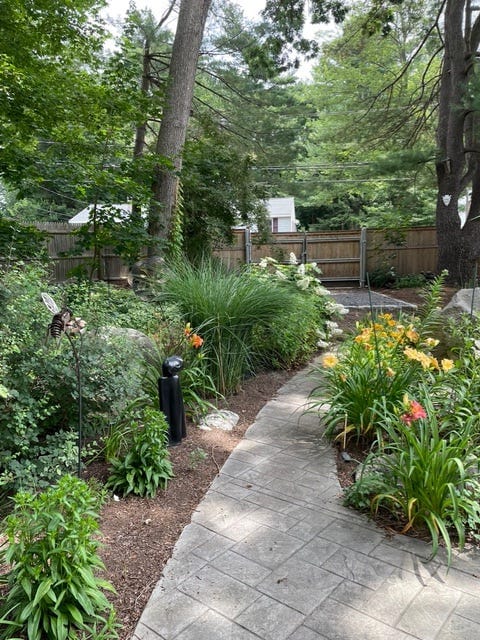 A garden path