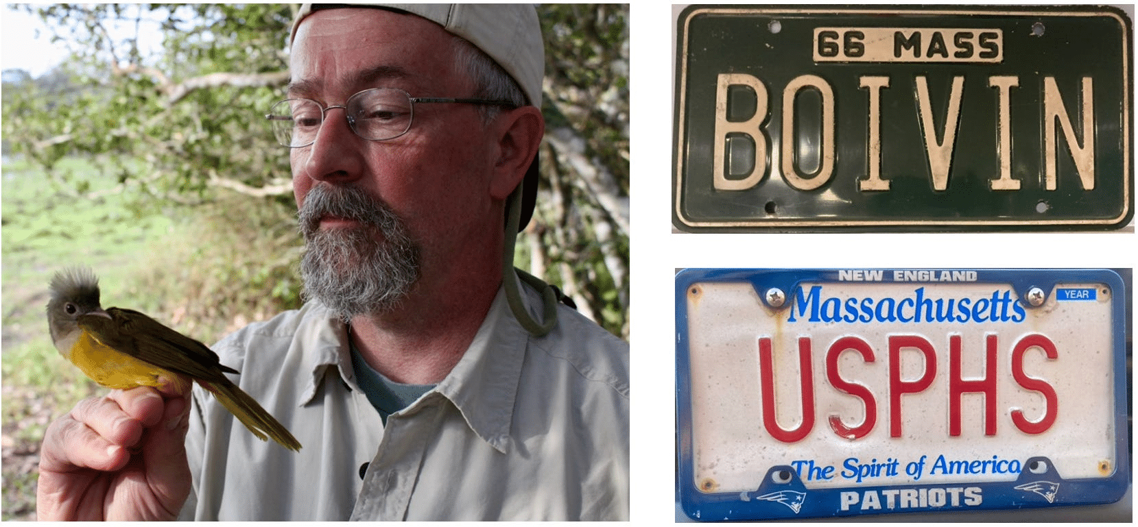 A collage including Bill Boivin holding a bird, as well as two license plates - one reading BOIVIN and the other reading USPHS.