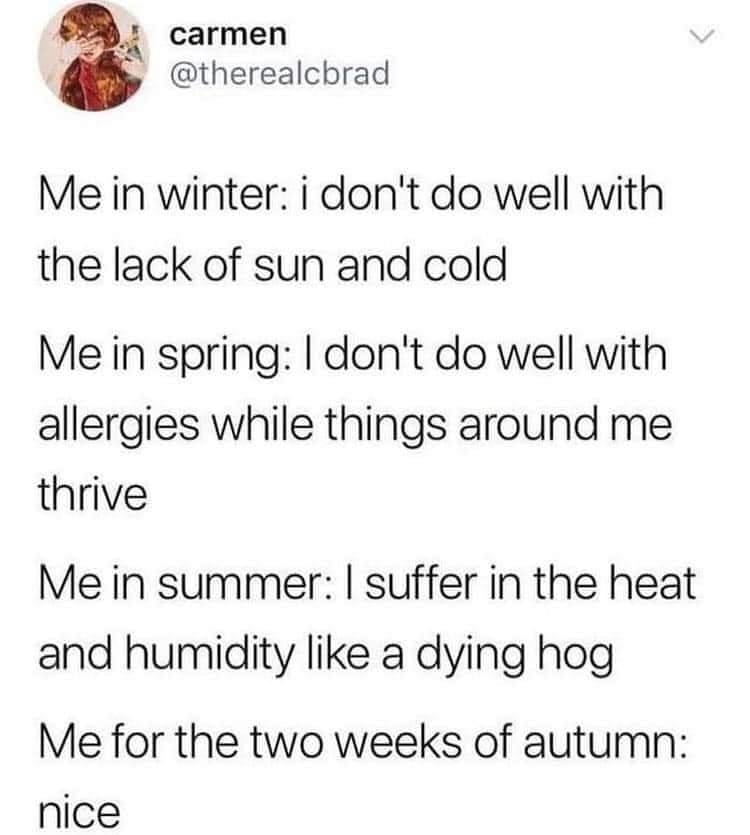 May be an image of text that says 'carmen @therealcbrad Me in winter: i don't do well with the lack of sun and colo Me in spring: don't do well with allergies while things around me thrive Me in summer: suffer in the heat and humidity like a dying hog Me for the two weeks of autumn: nice'