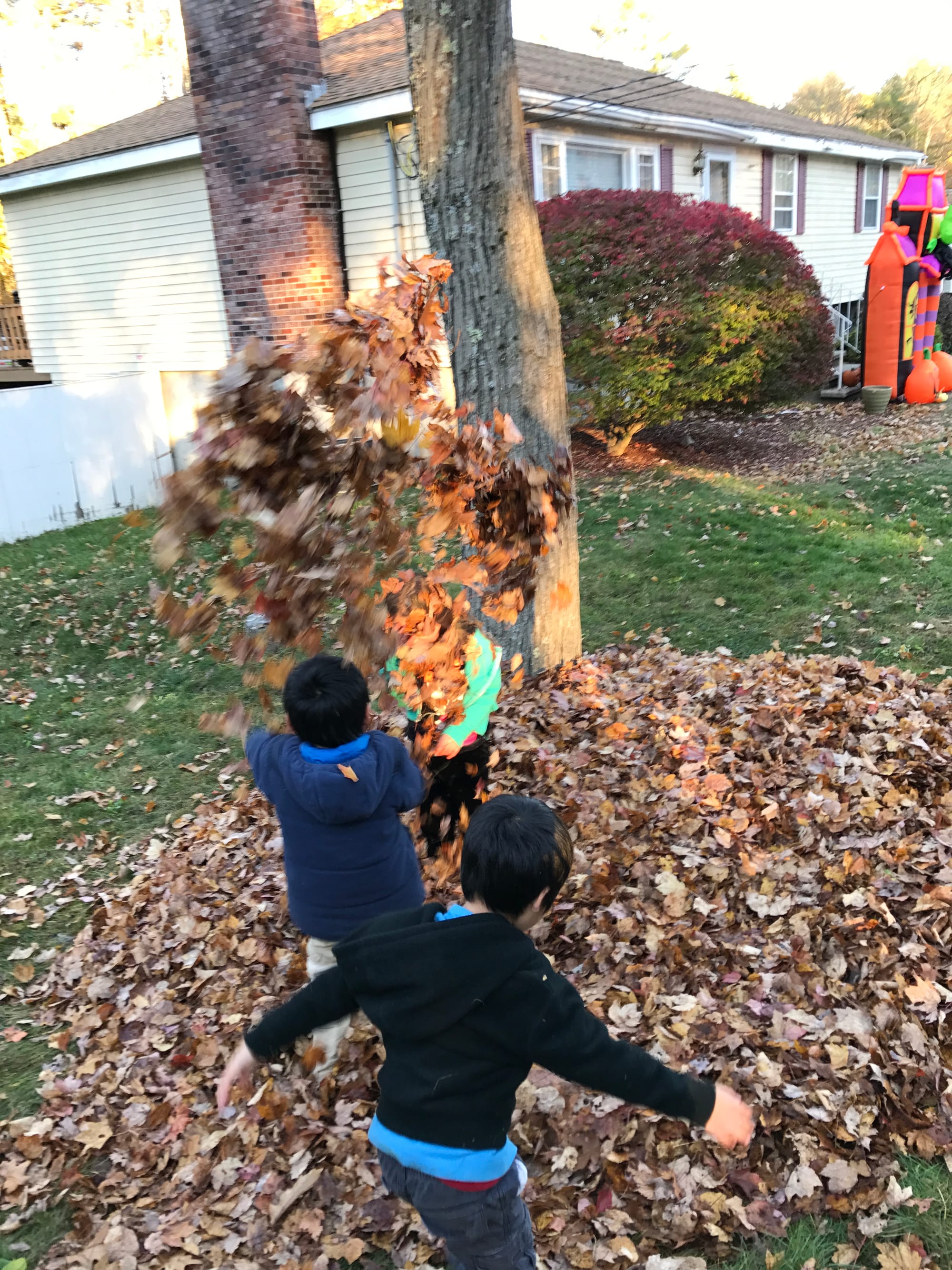 kids play in a leaf pile with a Halloween inflatable in the background