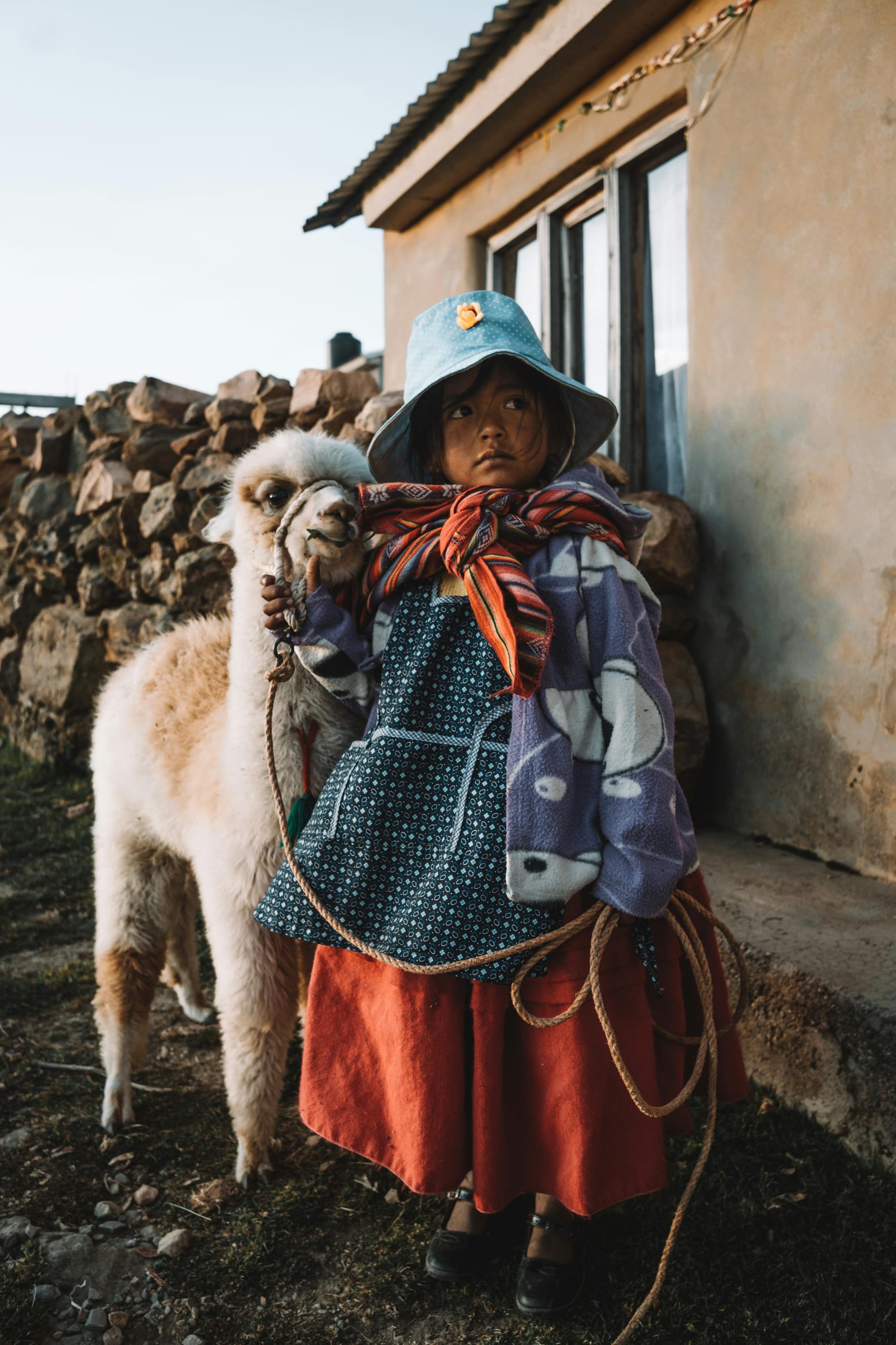 Young Girl Holding The Rope On A White Alpaca Close To A House
<p>" class="wp-image-9075" style="width:683px;height:auto"><figcaption class=